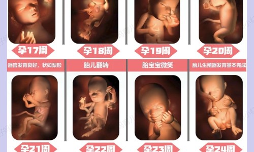 产后哺乳期两个月会怀孕吗网 :分享产后哺乳期2个月来月经正常吗-产后两个月哺乳期同房怀孕几率大吗知识